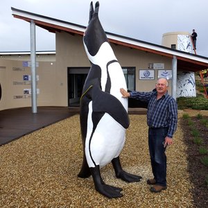 Wilfred Chivell staan by die enorme 3m Afrika Pikkewyn kort voordat dit met â€˜n hyskraan op die APSS sentrum se dak geplaas is